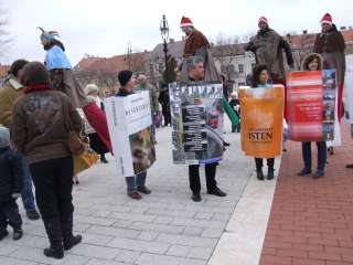 2013.02.09. Farsangi felvonulás 040.JPG 2013.02.09. Farsangi felvonulás 040.JPG