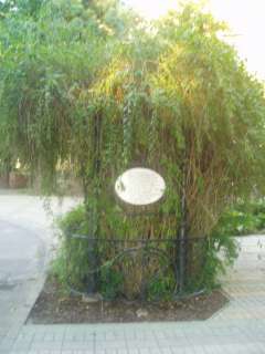 Debrecen, Hatvan u. 01. 3.kép.jpg Debrecen, Hatvan u. 01. 3.kép.jpg